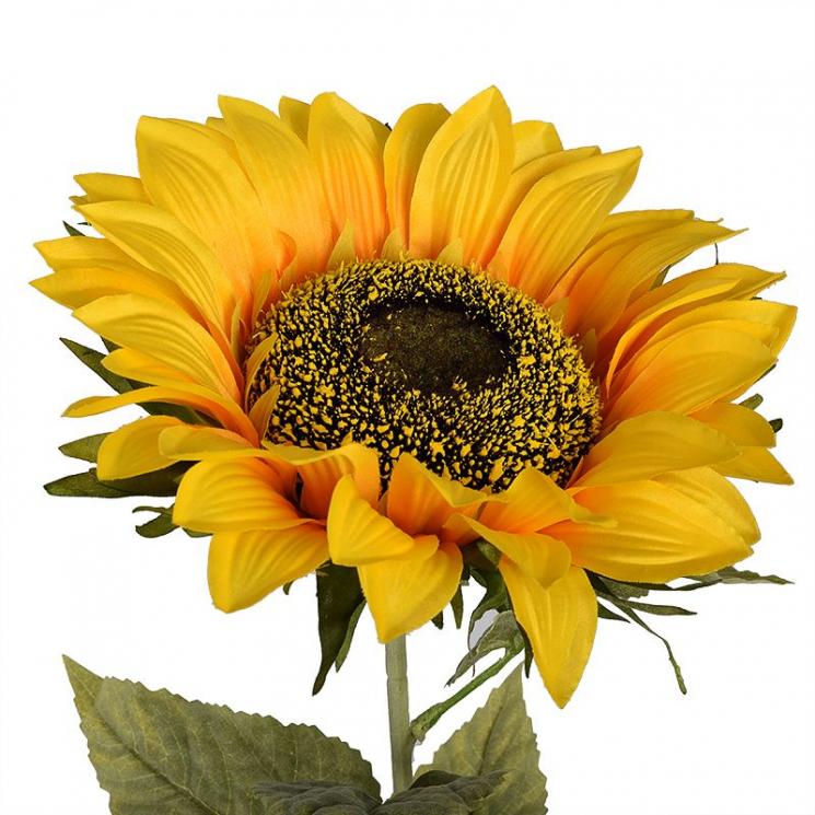 Крупный декоративный цветок Подсолнуха - фото