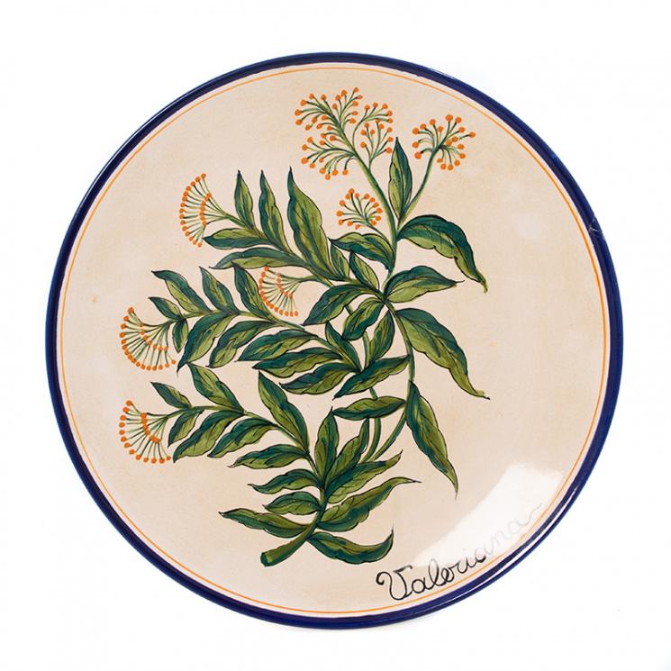 Декоративная тарелка из керамики с растительным рисунком Valeriana "Ботаника" L´Antica Deruta - фото