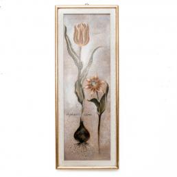 Набор 2-х репродукции картин Tulipa Violoncello VI, Joseph Augustine