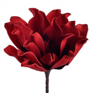 Декоративный цветок Гиппеаструма ярко-красного цвета