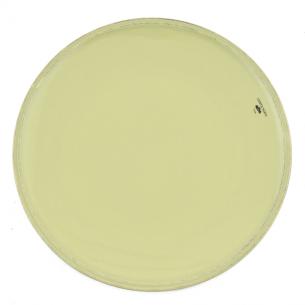Тарелка зеленая обеденная Friso