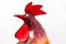 Яркая металлическая статуэтка "Петух" рыжего цвета Kanu Exner  - фото