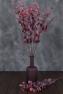 Декоративная ветка Эвкалипта Пепельного красного цвета Exner  - фото