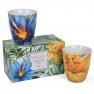 Набор из 2-х фарфоровых чайных чашек "Тропические цветы" Brandani  - фото