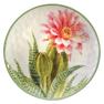 Комплект из 2-х блюд с изображением кактуса "Красавица пустыни" Certified International  - фото