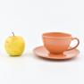 Чашка с блюдцем терракотовая для чая Friso Costa Nova  - фото