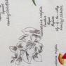 Гобеленовая наволочка сидушка "Красные полевые цветы" Emilia Arredamento  - фото