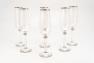 Набор бокалов для шампанского с платиновой отделкой Villa Grazia, 6 шт  - фото