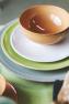 Тарелки обеденные зелёные, набор 6 шт. Friso Costa Nova  - фото