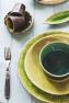 Светло-зеленая суповая тарелка Costa Nova  - фото