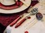 Набор столовых приборов с бордовыми ручками Laura Rivadossi  - фото