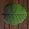 Оригинальные подставки под тарелки в виде зеленых листьев Калатеи VdE  - фото