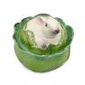 Емкость для хранения "Кролик в капусте" Ceramiche Bravo  - фото