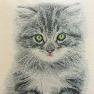 Гобеленовая наволочка с котенком Emilia Arredamento  - фото
