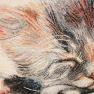 Гобеленовая наволочка "Спящий котенок" Emilia Arredamento  - фото