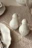 Набор емкостей для соли и перца из керамики Impressions Costa Nova  - фото
