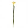 Высокий цветок желтого Ириса, декор для дома  - фото