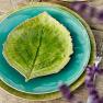 Десертная ярко-зеленая тарелка "Лист Гортензии" Costa Nova  - фото