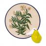 Декоративная тарелка из керамики с растительным рисунком Valeriana "Ботаника" L´Antica Deruta  - фото