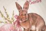 Круглый салатник с розовыми акцентами «Пасхальный кролик» Ceramica Cuore  - фото