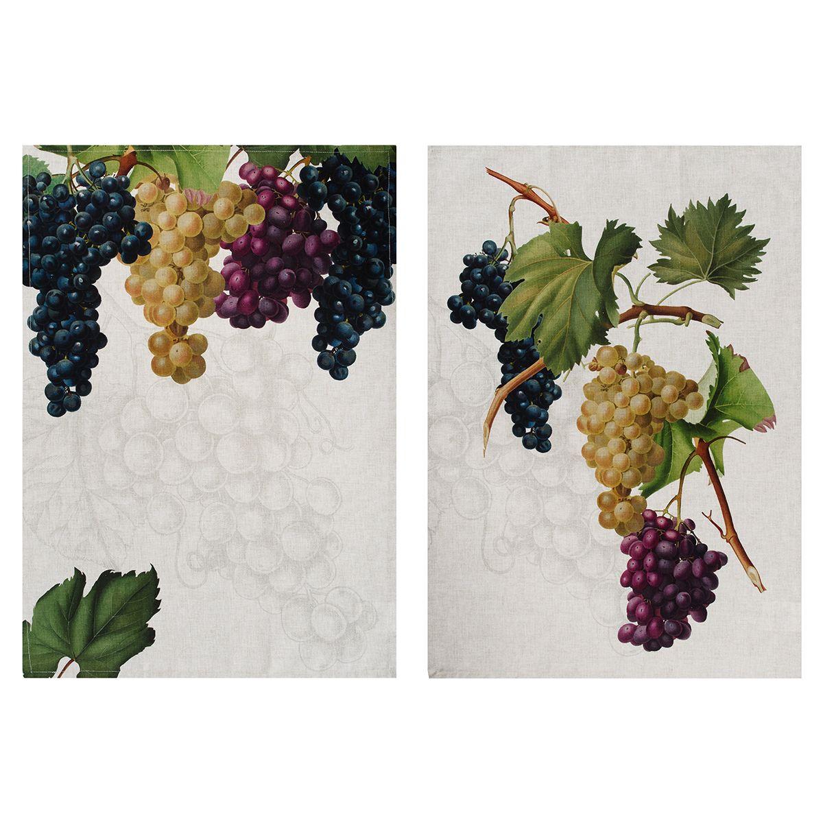 Чому виноградна лоза - унікальна рослина