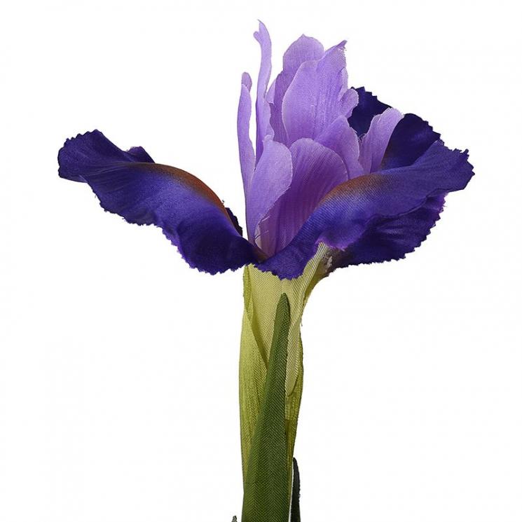 Декоративний Ірис фіолетового кольору - фото