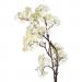Штучне цвітіння Персика білого кольору