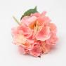 Декоративна квітка Гортензії рожевого кольору Mercury  - фото