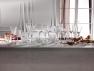 Набір бокалів із кришталевого скла з великим рельєфним декором Strong 6 шт. Brandani  - фото