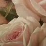 Набір з 2-х репродукцій картин Ігоря Левашова "Рожеві пелюстки" Decor Toscana  - фото