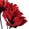 Декоративна квітка Гіппеаструма яскраво-червоного кольору Mercury  - фото