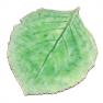 Десертна яскраво-зелена тарілка "Листок Гортензії" Costa Nova  - фото