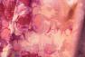 Ніжний та легкий плед із принтовим квітковим малюнком Brush Strokes Shingora  - фото