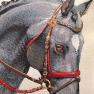 Наволочка гобеленова "Кінь сіра" Emilia Arredamento  - фото