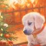 Барвиста новорічна наволочка з малюнком "Дитяча цікавість" XMas Puppy Centrotex  - фото