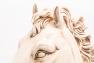 Статуетка керамічна "Голова коня" Mastercraft  - фото