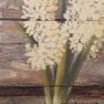 Набір з 3-х картин з квітами у горщиках "Гіацинти" Decor Toscana  - фото