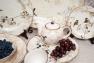 Колекція посуду з пташками "Шопен" Bizzirri  - фото