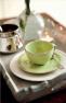 Чашка зелена з блюдцем Friso Costa Nova  - фото