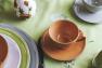 Чашка з блюдцем теракотова для чаю Friso Costa Nova  - фото