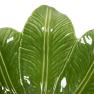 Салатник великий у вигляді пальмового листя Madeira Bordallo  - фото