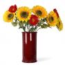 Крупна декоративна квітка Соняшника  - фото