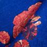 Плед червоно-синій вовняно-віскозний Shingora  - фото