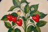 Тарілка Fragaria з колекції оригінального керамічного декору "Ботаніка" L´Antica Deruta  - фото