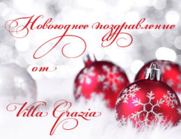 Новогоднее поздравление от Villa Grazia